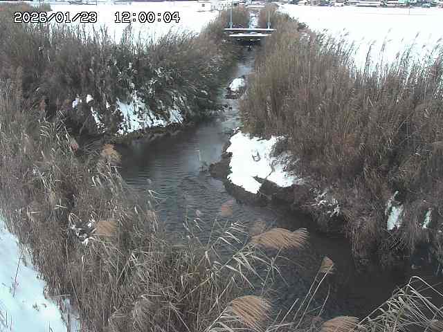 由良川４2026/01/24 02:10