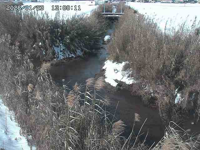 由良川４2026/01/24 02:10