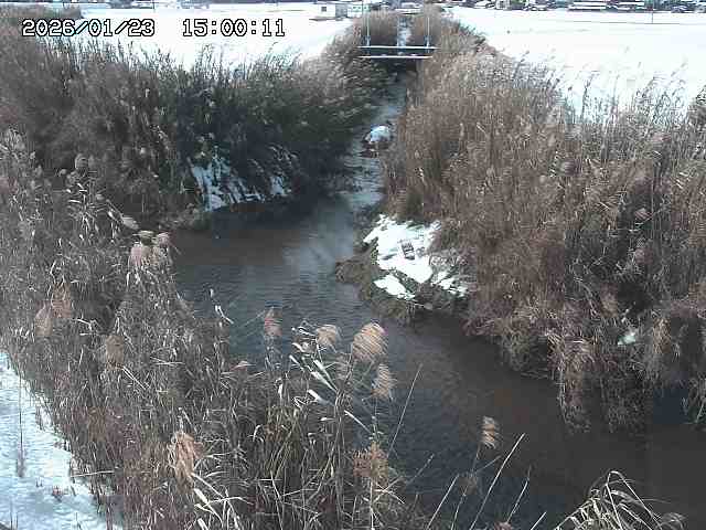由良川４2026/01/24 02:10