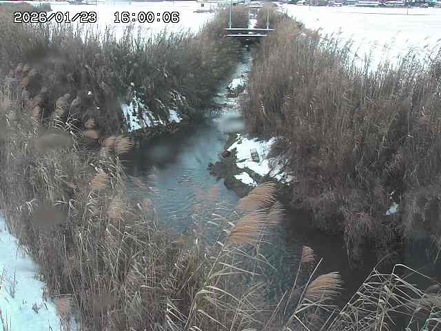 由良川４2026/01/24 02:10