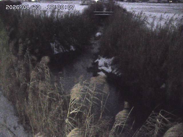 由良川４2026/01/24 02:10