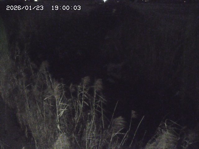 由良川４2026/01/24 02:10