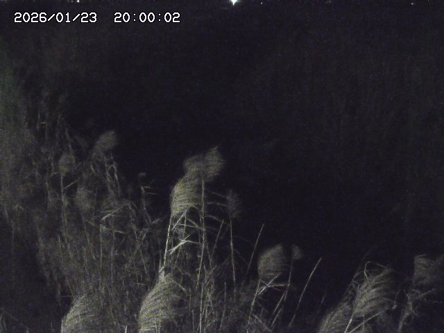 由良川４2026/01/24 02:10