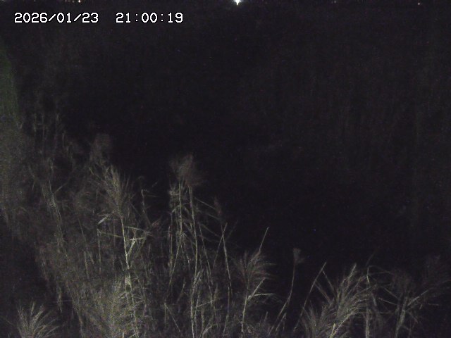 由良川４2026/01/24 02:10