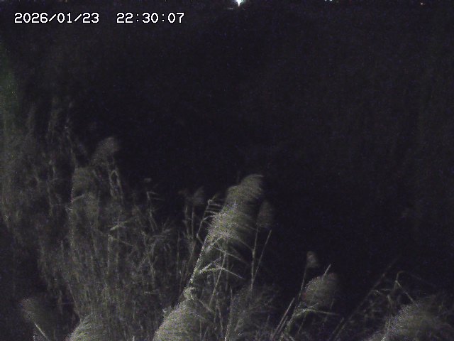 由良川４2026/01/24 02:10