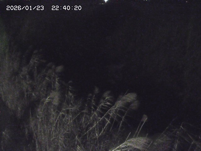 由良川４2026/01/24 02:10