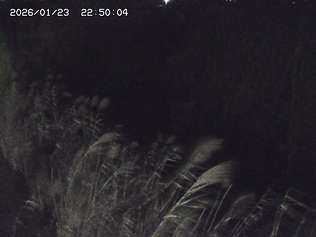 由良川４2026/01/24 02:10