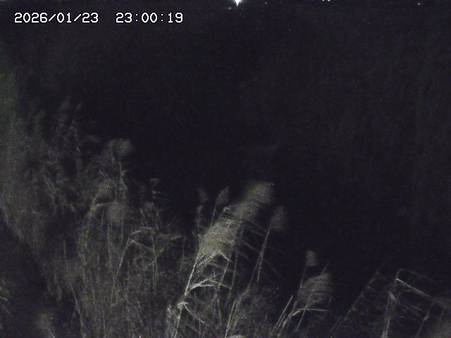由良川４2026/01/24 02:10