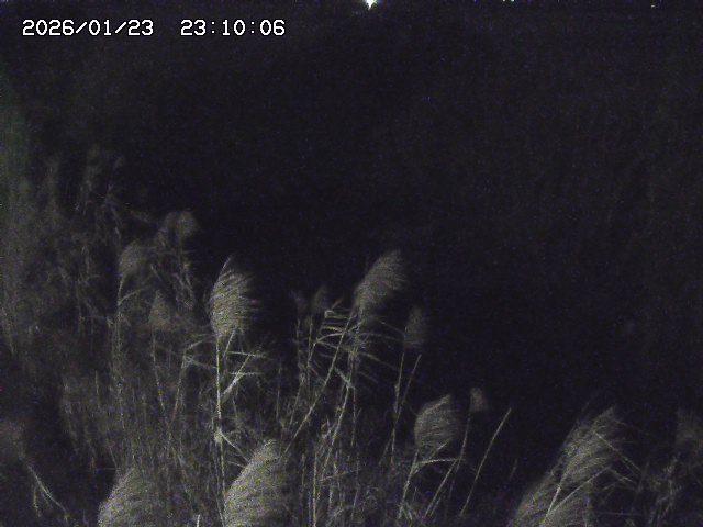 由良川４2026/01/24 02:10