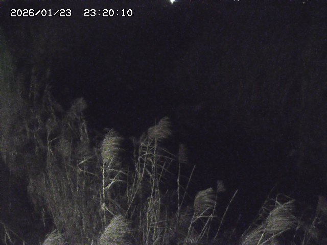 由良川４2026/01/24 02:10