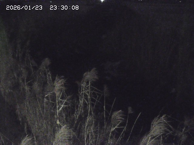 由良川４2026/01/24 02:10