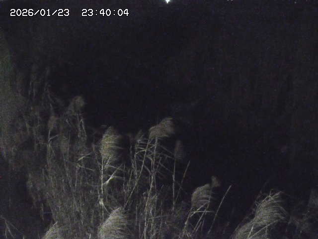 由良川４2026/01/24 02:10