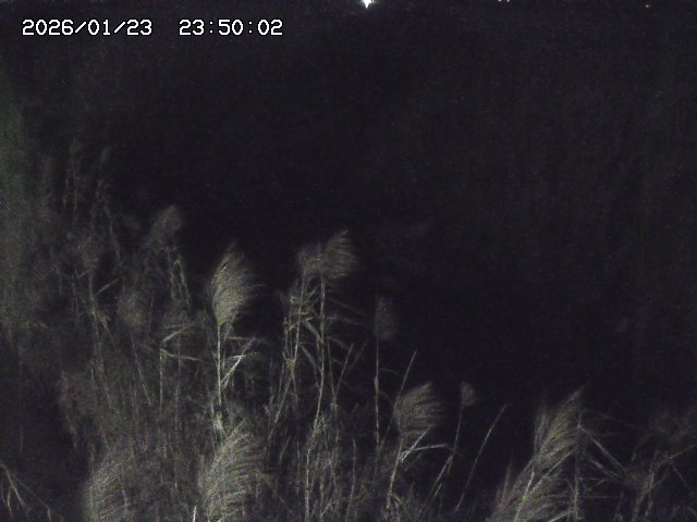 由良川４2026/01/24 02:10