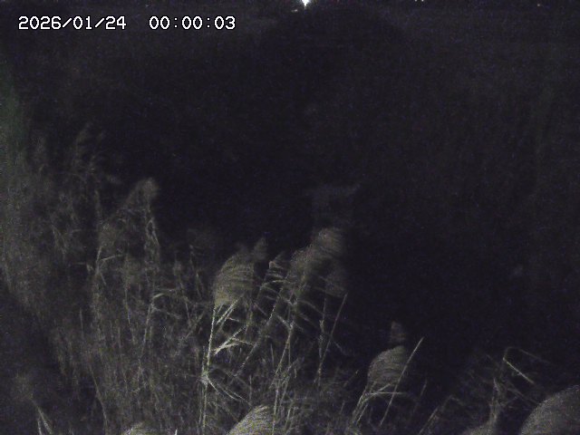 由良川４2026/01/24 02:10