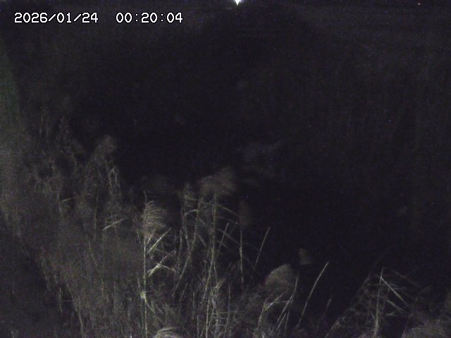 由良川４2026/01/24 02:10