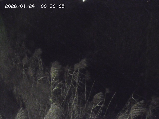 由良川４2026/01/24 02:10
