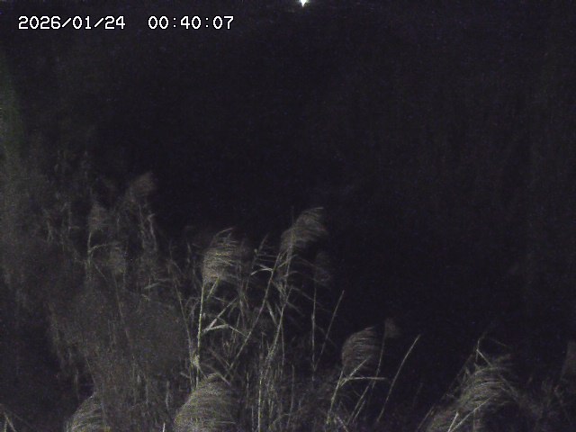 由良川４2026/01/24 02:10