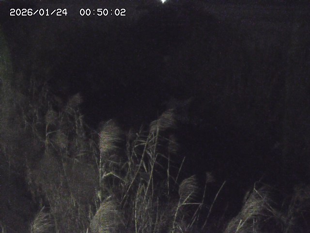 由良川４2026/01/24 02:10
