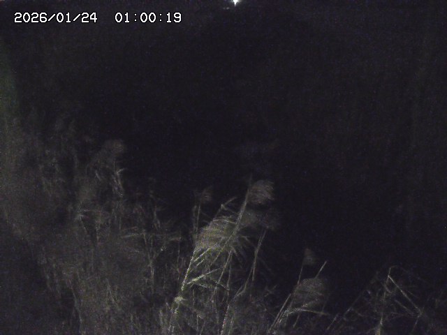 由良川４2026/01/24 02:10