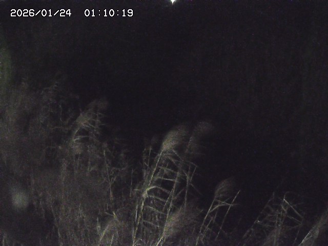 由良川４2026/01/24 02:10