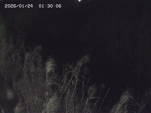 由良川４2026/01/24 02:10