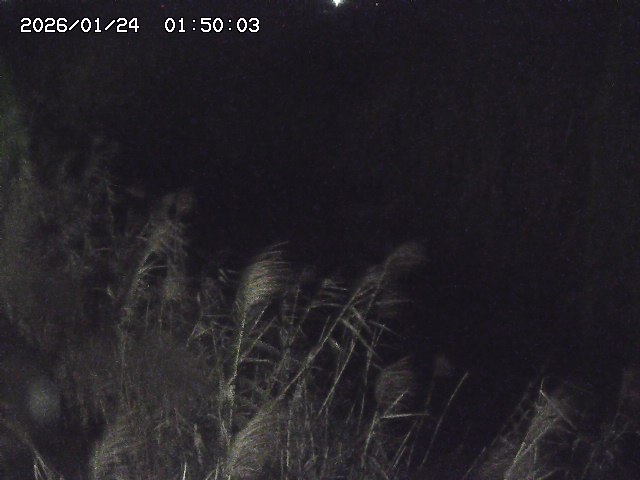 由良川４2026/01/24 02:10