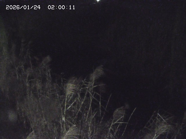 由良川４2026/01/24 02:10