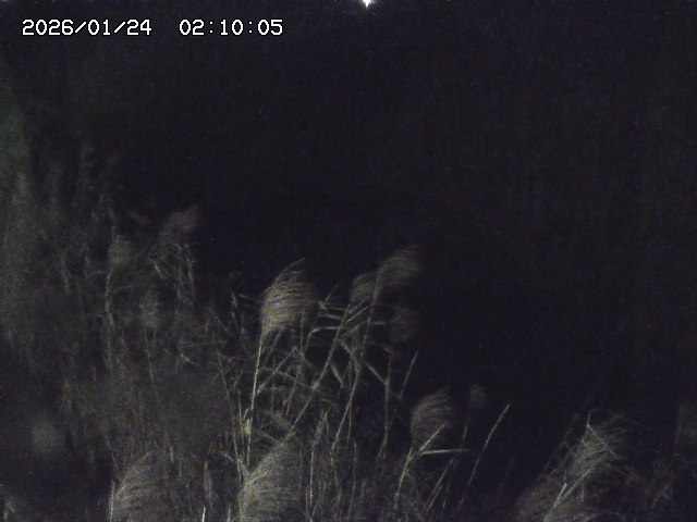 由良川４2026/01/24 02:10