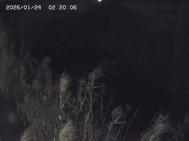 由良川４2026/01/24 02:10
