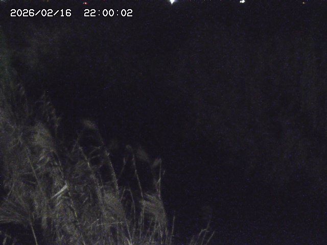 由良川４2026/02/17 18:10