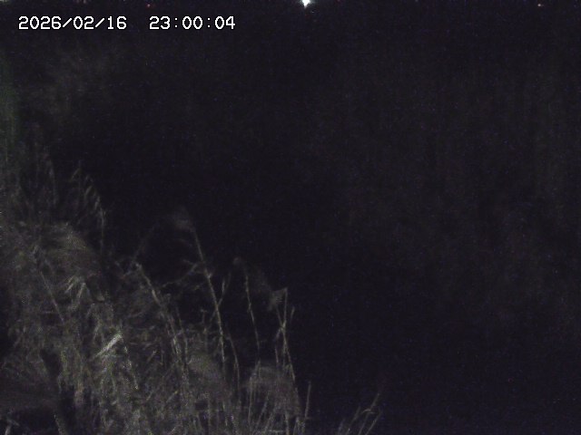 由良川４2026/02/17 18:10