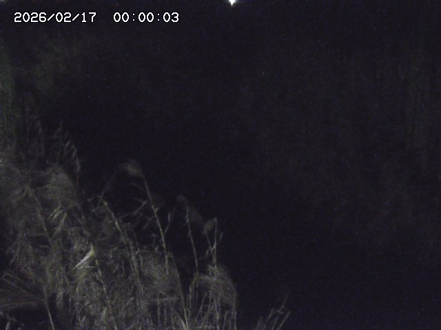 由良川４2026/02/17 18:10