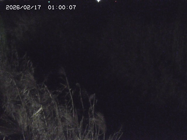 由良川４2026/02/17 18:10