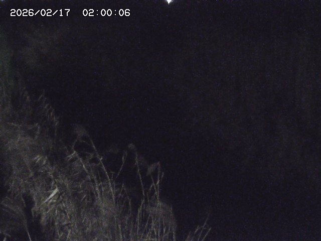 由良川４2026/02/17 18:10