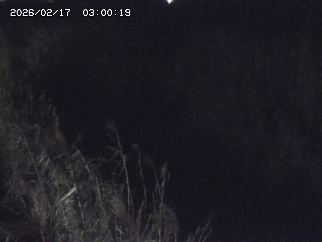 由良川４2026/02/17 18:10