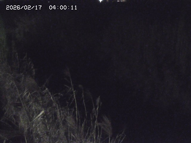 由良川４2026/02/17 18:10