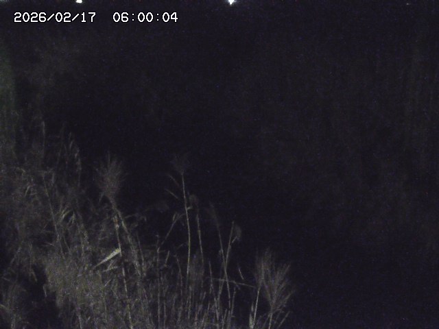 由良川４2026/02/17 18:10