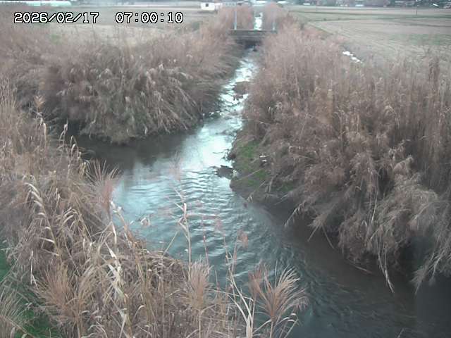 由良川４2026/02/17 18:10