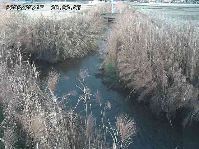 由良川４2026/02/17 18:10