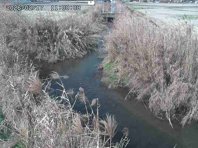 由良川４2026/02/17 18:10