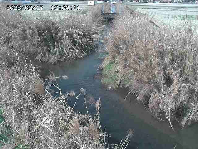 由良川４2026/02/17 18:10