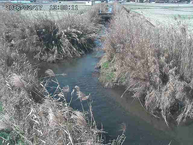 由良川４2026/02/17 18:10