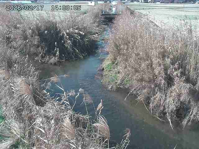 由良川４2026/02/17 18:10