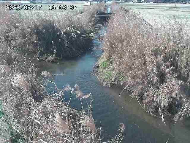 由良川４2026/02/17 18:10