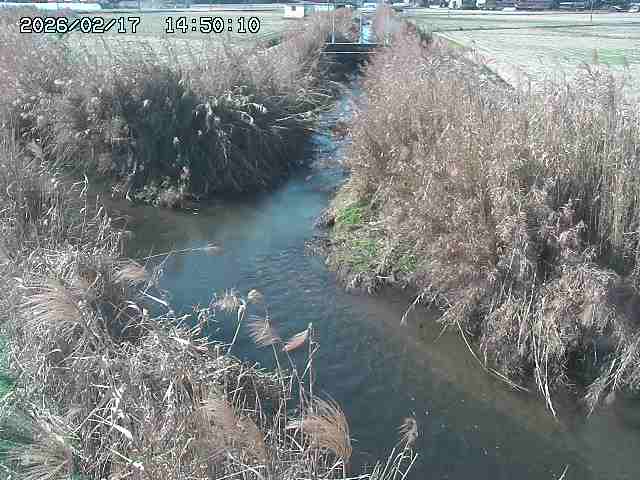 由良川４2026/02/17 18:10