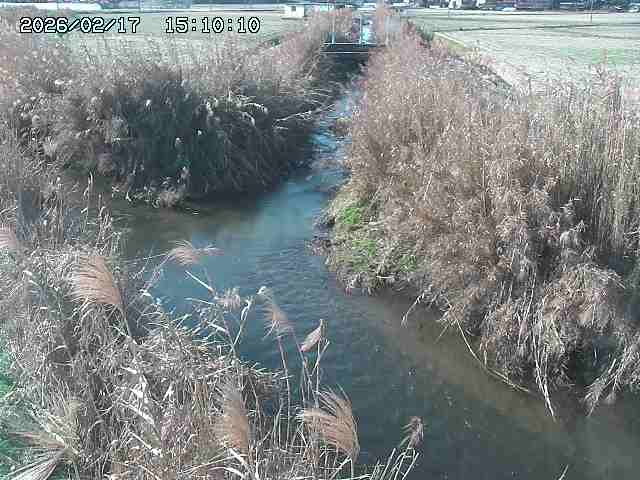 由良川４2026/02/17 18:10