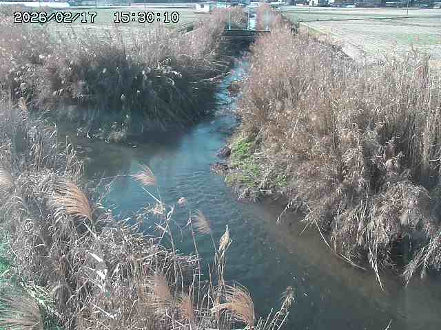 由良川４2026/02/17 18:10
