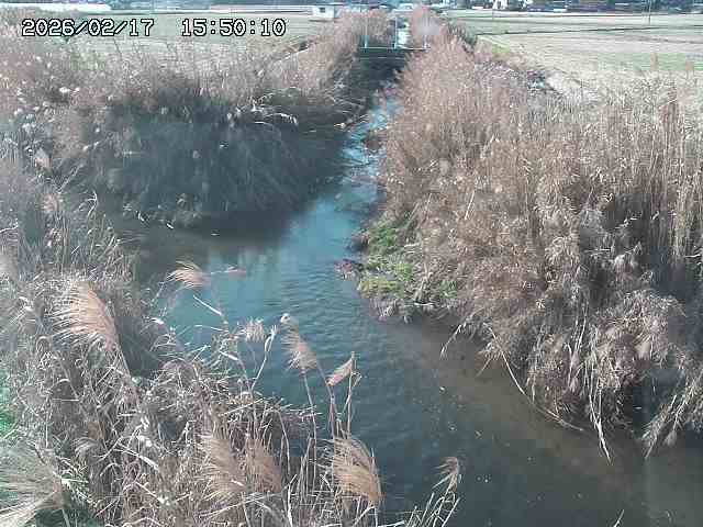 由良川４2026/02/17 18:10