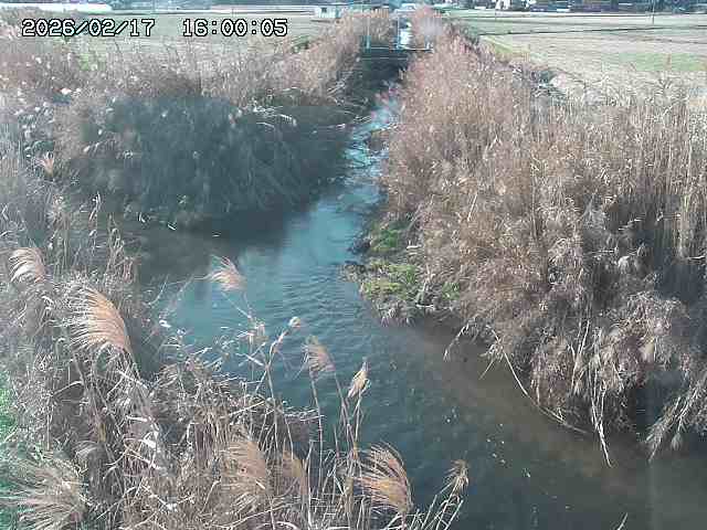 由良川４2026/02/17 18:10