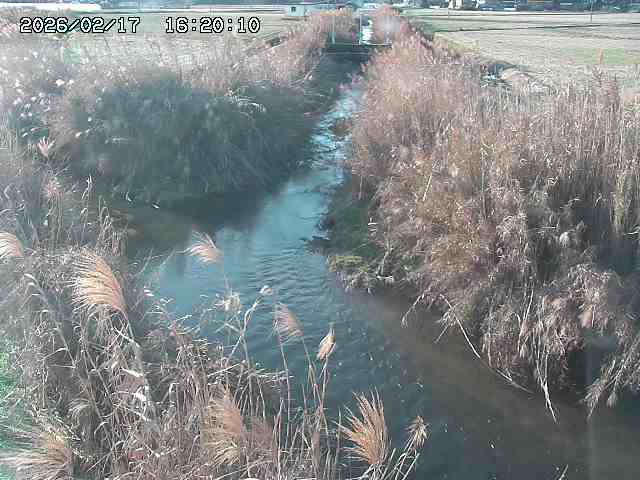 由良川４2026/02/17 18:10